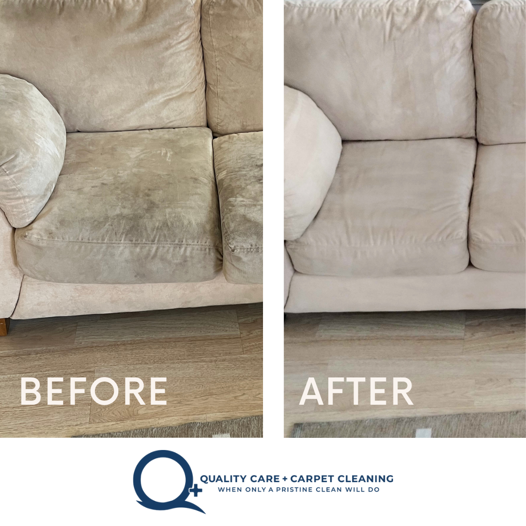 Upholstery and Leather Cleaning