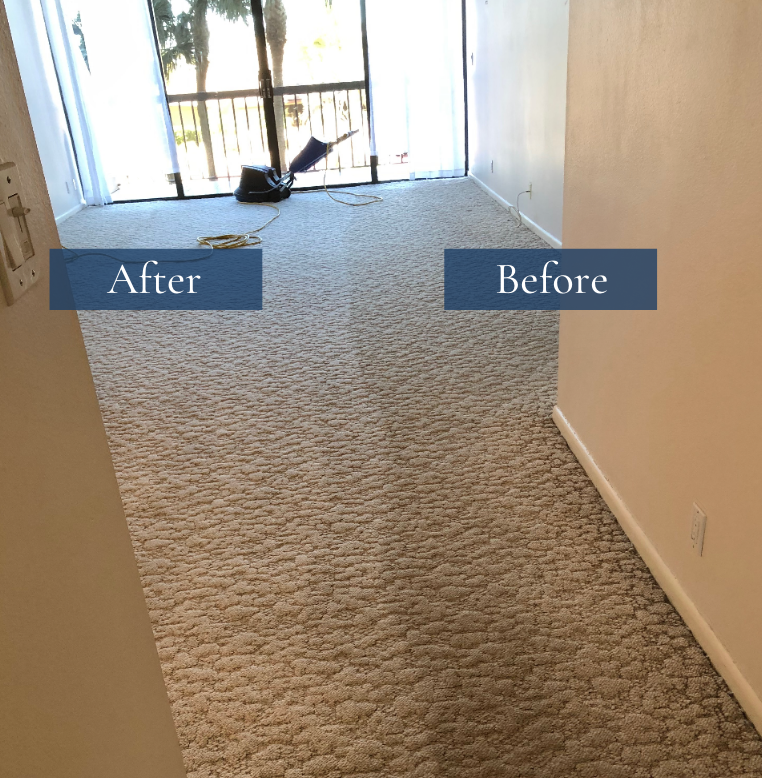 How to Get a Red Wine Stain Out of Your Carpet — Affordable Carpet