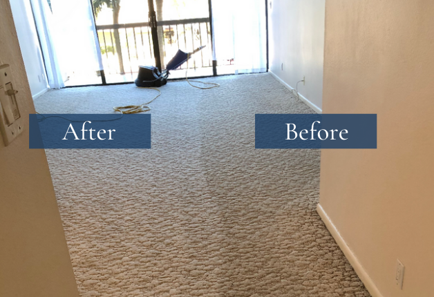 Carpet Cleaning Pinellas County